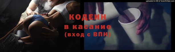 PSILOCYBIN Кодинск