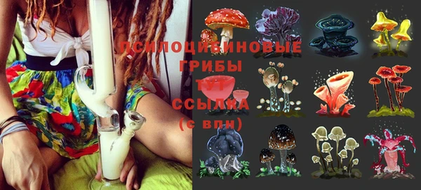 экстази Козловка