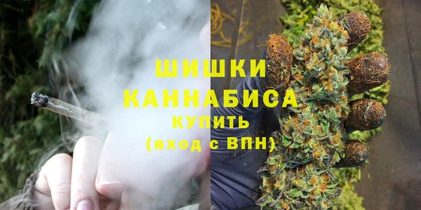 PSILOCYBIN Кодинск