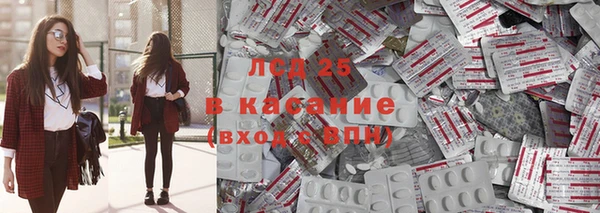 PSILOCYBIN Кодинск