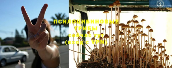экстази Козловка